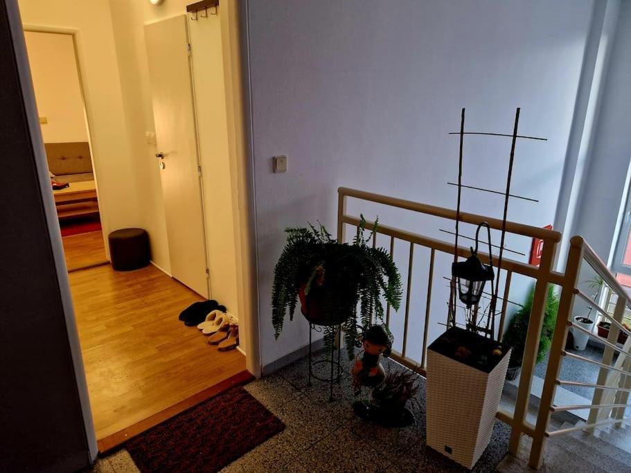 Slnecny Byt V Blizkosti Historickeho Centra Trenčín Eksteriør billede